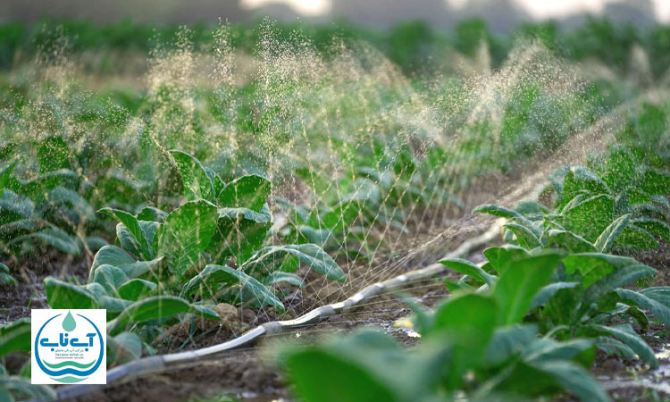 آب بازیافتی بدون تصفیه نامناسب برای کشاورزی