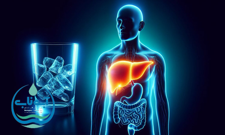 کاهش آلودگی های مضر کبد و کلیه